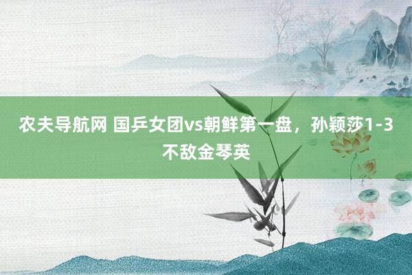 农夫导航网 国乒女团vs朝鲜第一盘，孙颖莎1-3不敌金琴英