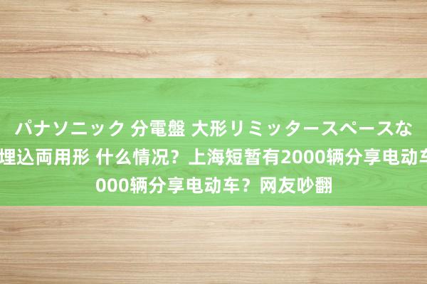 パナソニック 分電盤 大形リミッタースペースなし 露出・半埋込両用形 什么情况？上海短暂有2000辆分享电动车？网友吵翻