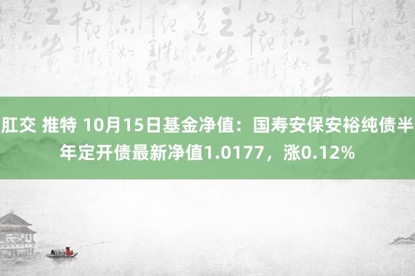 肛交 推特 10月15日基金净值：国寿安保安裕纯债半年定开债最新净值1.0177，涨0.12%