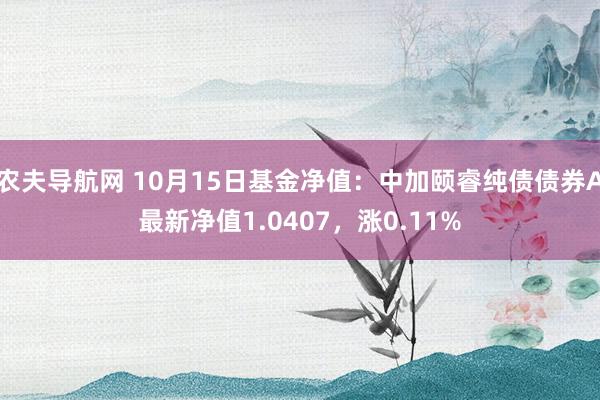 农夫导航网 10月15日基金净值：中加颐睿纯债债券A最新净值1.0407，涨0.11%