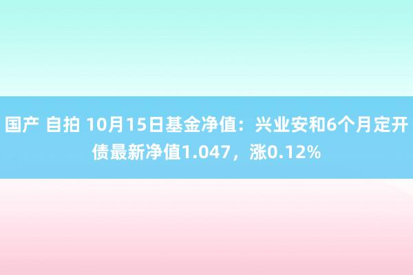 国产 自拍 10月15日基金净值：兴业安和6个月定开债最新净值1.047，涨0.12%