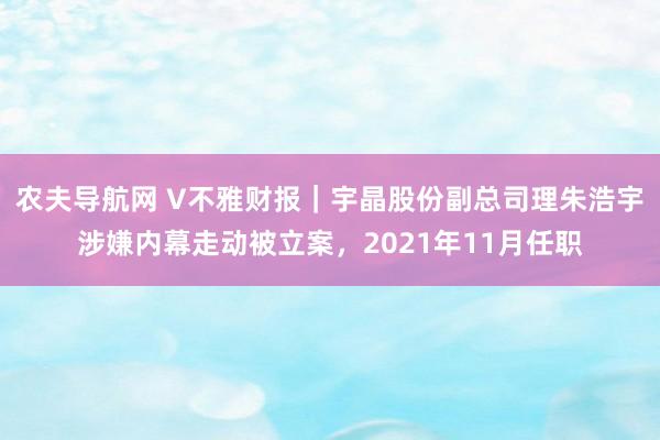 农夫导航网 V不雅财报｜宇晶股份副总司理朱浩宇涉嫌内幕走动被立案，2021年11月任职