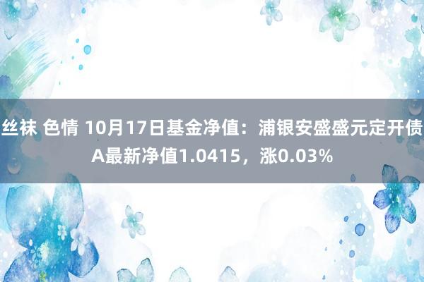 丝袜 色情 10月17日基金净值：浦银安盛盛元定开债A最新净值1.0415，涨0.03%