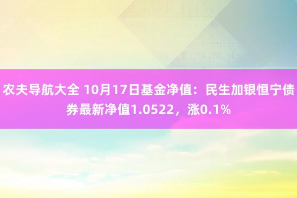 农夫导航大全 10月17日基金净值：民生加银恒宁债券最新净值1.0522，涨0.1%