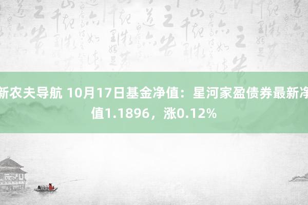 新农夫导航 10月17日基金净值：星河家盈债券最新净值1.1896，涨0.12%