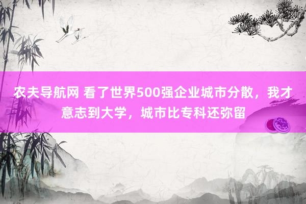 农夫导航网 看了世界500强企业城市分散，我才意志到大学，城市比专科还弥留