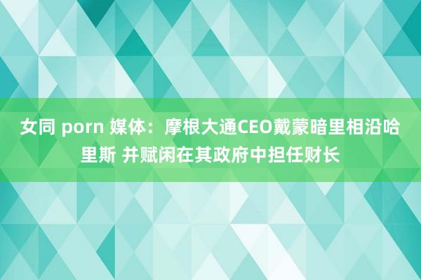 女同 porn 媒体：摩根大通CEO戴蒙暗里相沿哈里斯 并赋闲在其政府中担任财长