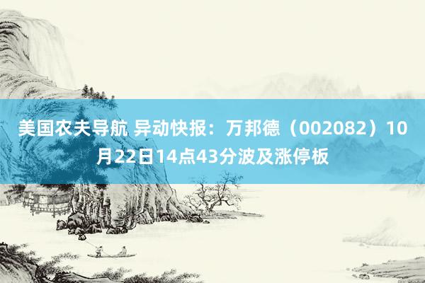 美国农夫导航 异动快报：万邦德（002082）10月22日14点43分波及涨停板