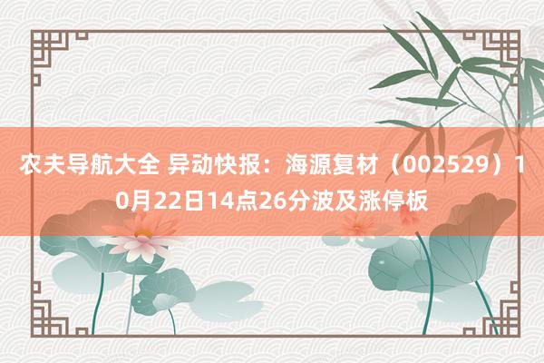 农夫导航大全 异动快报：海源复材（002529）10月22日14点26分波及涨停板