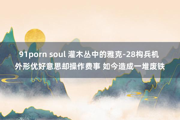 91porn soul 灌木丛中的雅克-28构兵机 外形优好意思却操作费事 如今造成一堆废铁