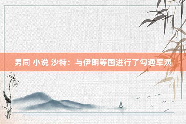 男同 小说 沙特：与伊朗等国进行了勾通军演