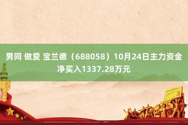 男同 做爱 宝兰德（688058）10月24日主力资金净买入1337.28万元