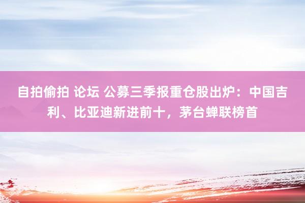 自拍偷拍 论坛 公募三季报重仓股出炉：中国吉利、比亚迪新进前十，茅台蝉联榜首