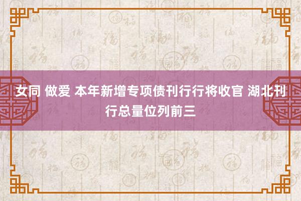 女同 做爱 本年新增专项债刊行行将收官 湖北刊行总量位列前三
