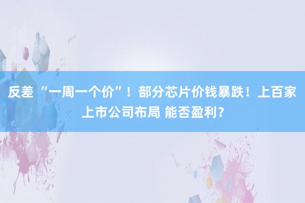 反差 “一周一个价”！部分芯片价钱暴跌！上百家上市公司布局 能否盈利？