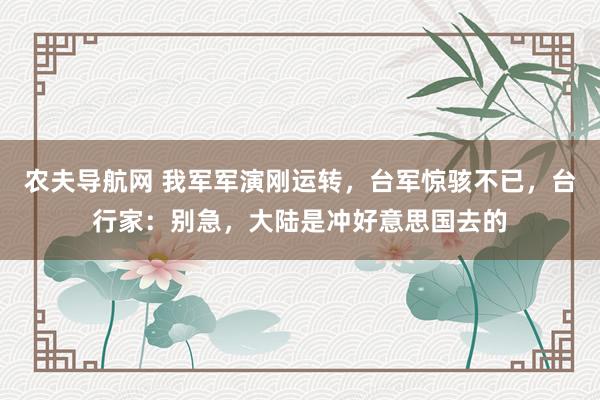农夫导航网 我军军演刚运转，台军惊骇不已，台行家：别急，大陆是冲好意思国去的