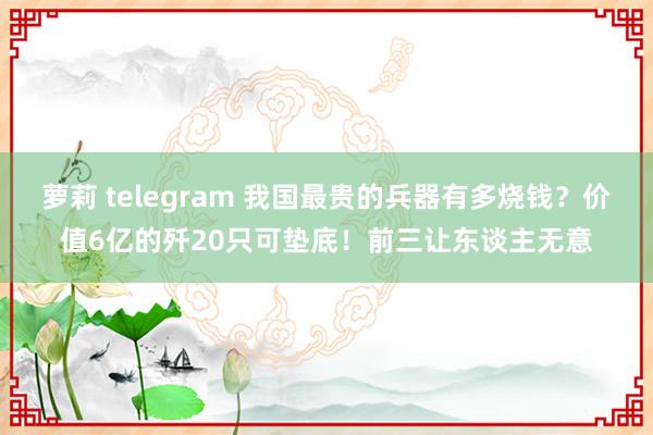 萝莉 telegram 我国最贵的兵器有多烧钱？价值6亿的歼20只可垫底！前三让东谈主无意