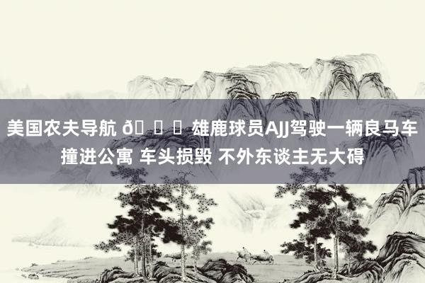 美国农夫导航 😅雄鹿球员AJJ驾驶一辆良马车撞进公寓 车头损毁 不外东谈主无大碍