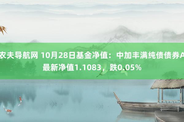 农夫导航网 10月28日基金净值：中加丰满纯债债券A最新净值1.1083，跌0.05%