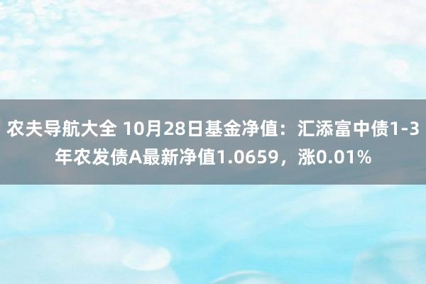 农夫导航大全 10月28日基金净值：汇添富中债1-3年农发债A最新净值1.0659，涨0.01%