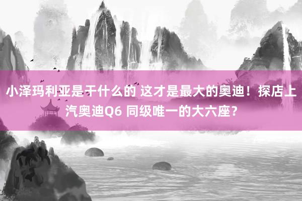 小泽玛利亚是干什么的 这才是最大的奥迪！探店上汽奥迪Q6 同级唯一的大六座？