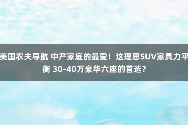 美国农夫导航 中产家庭的最爱！这理思SUV家具力平衡 30-40万豪华六座的首选？