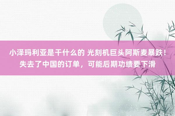 小泽玛利亚是干什么的 光刻机巨头阿斯麦暴跌！失去了中国的订单，可能后期功绩要下滑