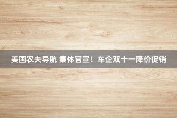 美国农夫导航 集体官宣！车企双十一降价促销