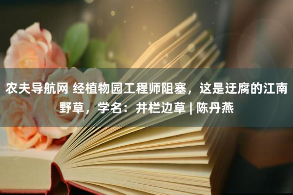 农夫导航网 经植物园工程师阻塞，这是迂腐的江南野草，学名：井栏边草 | 陈丹燕