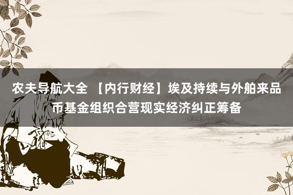 农夫导航大全 【内行财经】埃及持续与外舶来品币基金组织合营现实经济纠正筹备