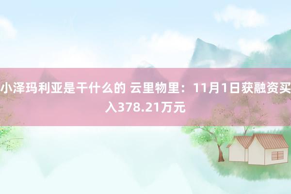 小泽玛利亚是干什么的 云里物里：11月1日获融资买入378.21万元