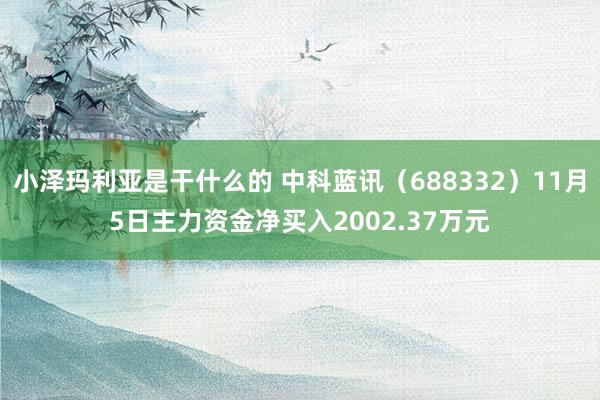 小泽玛利亚是干什么的 中科蓝讯（688332）11月5日主力资金净买入2002.37万元