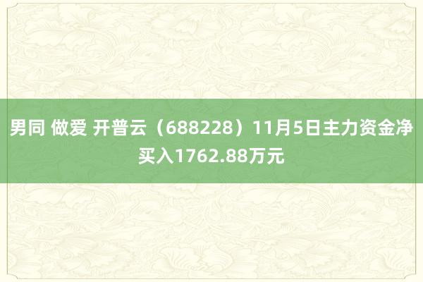 男同 做爱 开普云（688228）11月5日主力资金净买入1762.88万元