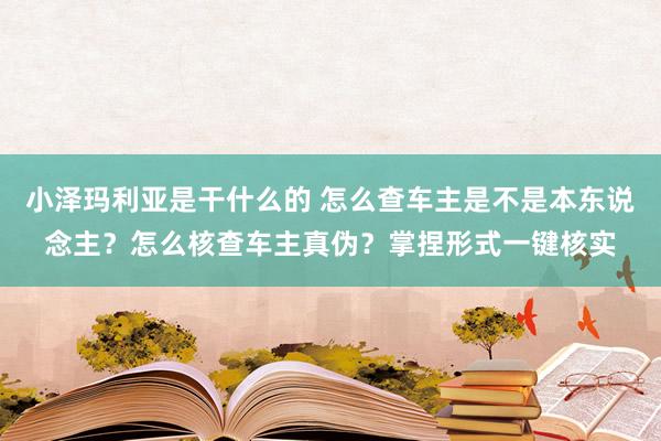 小泽玛利亚是干什么的 怎么查车主是不是本东说念主？怎么核查车主真伪？掌捏形式一键核实