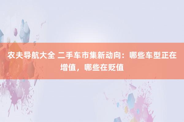 农夫导航大全 二手车市集新动向：哪些车型正在增值，哪些在贬值