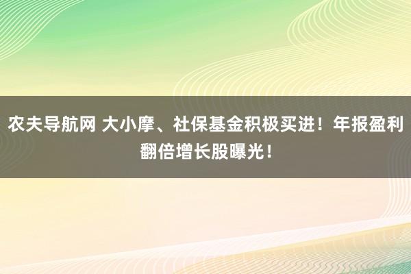 农夫导航网 大小摩、社保基金积极买进！年报盈利翻倍增长股曝光！