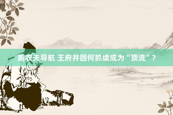 新农夫导航 王府井因何抓续成为“顶流”？