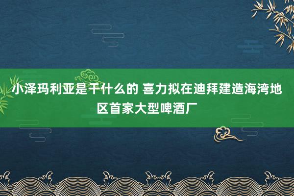 小泽玛利亚是干什么的 喜力拟在迪拜建造海湾地区首家大型啤酒厂