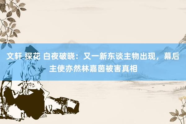 文轩 探花 白夜破晓：又一新东谈主物出现，幕后主使亦然林嘉茵被害真相