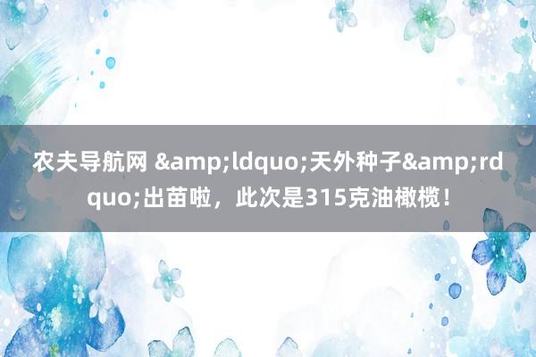 农夫导航网 &ldquo;天外种子&rdquo;出苗啦，此次是315克油橄榄！