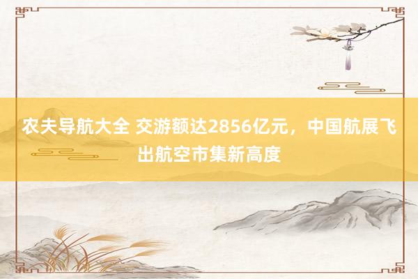 农夫导航大全 交游额达2856亿元，中国航展飞出航空市集新高度
