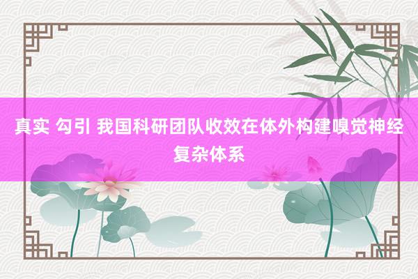真实 勾引 我国科研团队收效在体外构建嗅觉神经复杂体系