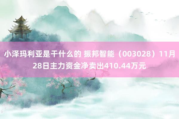 小泽玛利亚是干什么的 振邦智能（003028）11月28日主力资金净卖出410.44万元