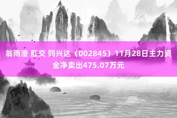 翁雨澄 肛交 同兴达（002845）11月28日主力资金净卖出475.07万元