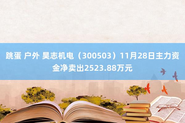 跳蛋 户外 昊志机电（300503）11月28日主力资金净卖出2523.88万元