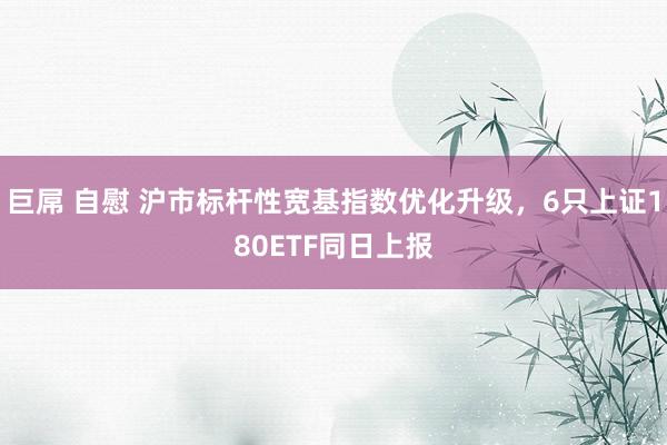 巨屌 自慰 沪市标杆性宽基指数优化升级，6只上证180ETF同日上报