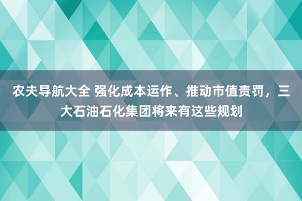 农夫导航大全 强化成本运作、推动市值责罚，三大石油石化集团将来有这些规划
