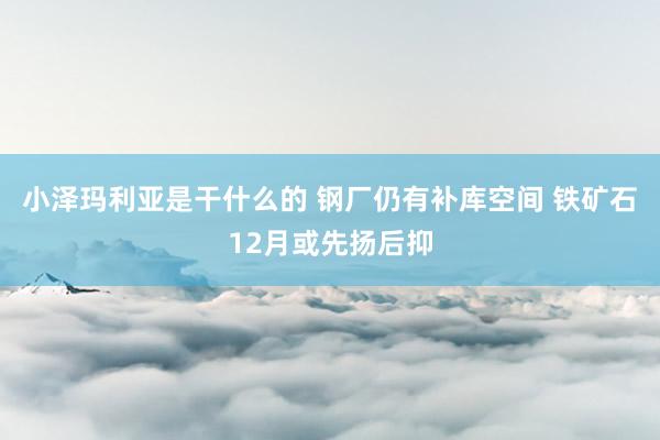 小泽玛利亚是干什么的 钢厂仍有补库空间 铁矿石12月或先扬后抑