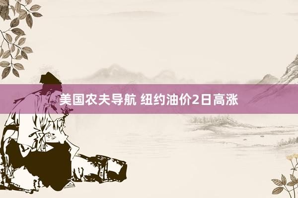 美国农夫导航 纽约油价2日高涨
