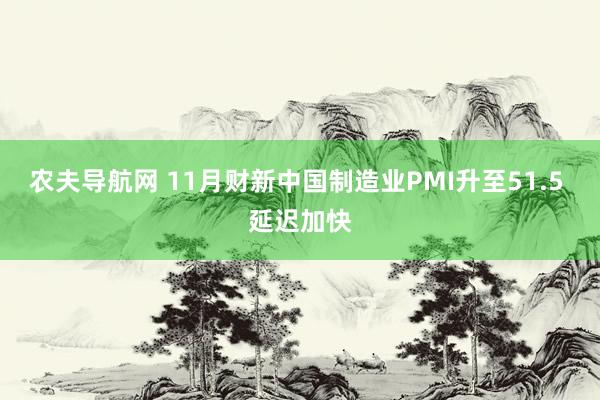 农夫导航网 11月财新中国制造业PMI升至51.5 延迟加快